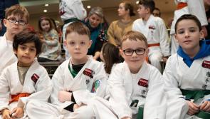 IN PICTURES: International competitors travel to Limerick for martial arts championships 