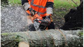 ALERT: Warning issued over chainsaws with trees down during Storm Jocelyn