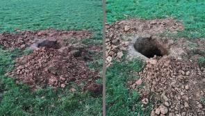 Gardai appeal for witnesses following 'Badger baiting' incident close to Limerick village