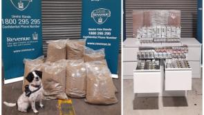 Over &euro;1.6m worth of drugs and cigarettes sniffed out with detector dog Milo's help