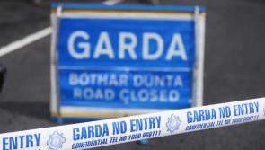 Witnesses sought after elderly pedestrian dies in Dublin road crash