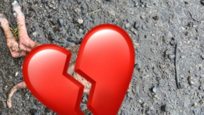 'It's disgusting' - Shock as beheaded piglet discovered outside animal rescue's farm