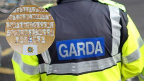 Almost 200 rounds of ammunition and 'substantial' sum of cash found by Garda&iacute; in Cork homes