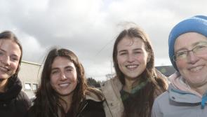 IN PICTURES: Fans support Limerick footballers in Allianz League clash with Sligo in Rathkeale