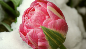 'Change is coming' - Irish weather expert predicts much cooler temperatures this week