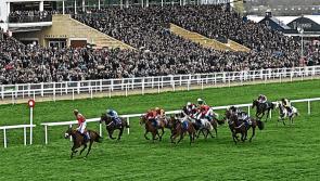 Under starter's orders for Limerick's Cheltenham Preview Nights