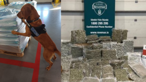 Over &euro;1m cannabis haul sent from Spain seized by Irish Revenue officers