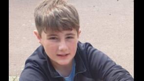 Garda&iacute; seek public's help in search for missing 16-year-old