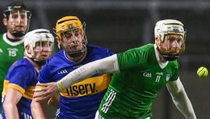 Limerick's Cian Lynch: 'The competition within the squad is class'