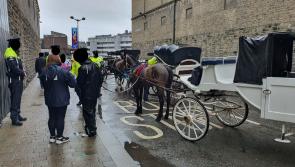 Garda&iacute; arrest two horse-drawn carriage operators for 'intoxicated driving'
