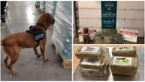 Illicit drugs worth &euro;275k seized in Dublin from parcels sent from Spain and Portugal