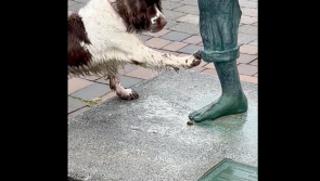 WATCH: Pup steals hearts as he tries to play with Richard Harris statue