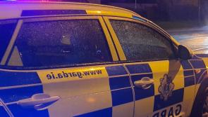 Garda&iacute; make shocking discovery after stopping erratic driver 
