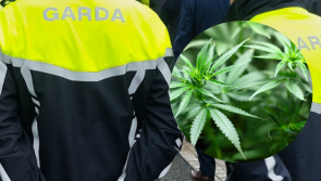 Garda&iacute; find &euro;700k worth of cannabis at growhouse in sleepy Roscommon village