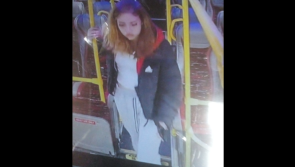 Have you seen Ellen? Garda&iacute; renew appeal to find teenage girl amid concern for her welfare