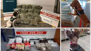 Detector dogs sniff out &euro;1.2m worth of drugs and designer goods destined for Irish addresses