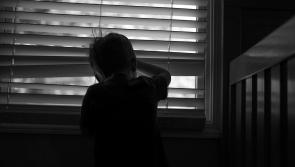 Report on asylum seeker accommodation reveals no Garda vetting, over-crowding and pest infestations