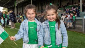 PICTURES: Supporters revel in Limerick hurlers Munster Championship win