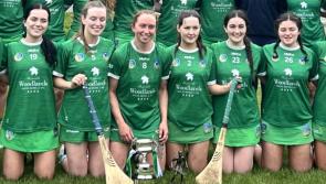 Resilient Limerick celebrate thrilling Munster junior camogie final win over Cork