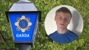 ALERT: Gardai seek help in locating missing teenager