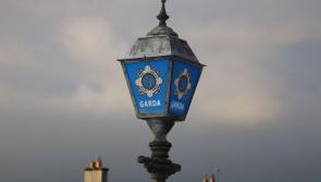 Man arrested following assault and robbery of elderly tourist in Killarney