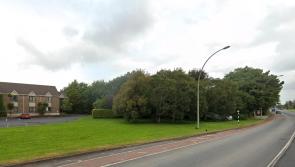 Developer seeks permission to build 28 new homes in Shannon