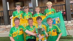 Martinstown National School claim FAI five-a-side All-Ireland spot after Munster win