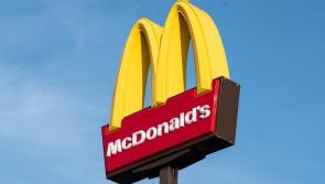 Irish woman who claimed &euro;12k benefits found working full-time in McDonald's 