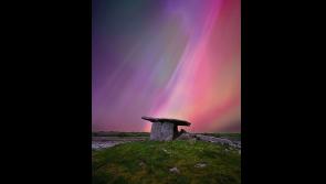 Green Limerick: Local photographer reaches for the stars in prestigious competition