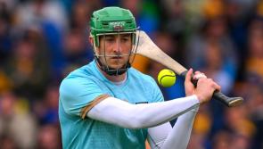 Two Limerick players named on RTEs Sunday Game Hurling Team of the Year