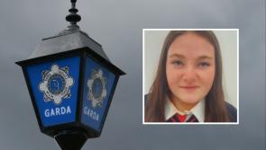 Have you seen Makayla? Garda&iacute; issue urgent appeal for missing teen (16)