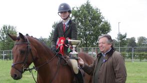 Limerick Show Horse and Pony Showing section results