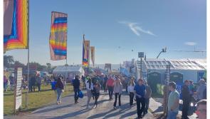 Businesses urged to go digital at National Ploughing Championships