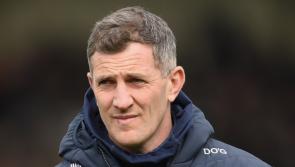 Former Limerick captain set to become minor hurling manager