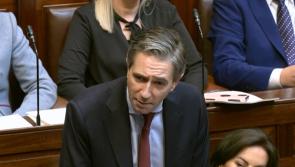 'Let the dog see the rabbit' - Taoiseach faces calls in the D&aacute;il to set election date