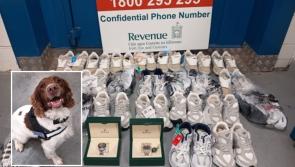  Drugs, designer clothes and a 15.5 inch blade seized by authorities in nationwide probes