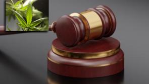 Man jailed for converting his property into a 'sophisticated' cannabis grow-house