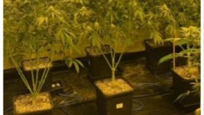 Almost &euro;220k seized as garda&iacute; uncover 'sophisticated cannabis cultivation operation' 