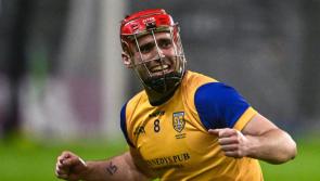 Limerick man stars in Leinster senior hurling final