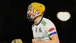 Limerick hurling stars impress as UL defeat DCU in Division 1 League final