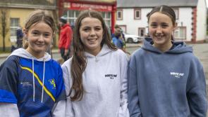 PICTURES: Pallasgreen GAA Club stages successful road hurling event
