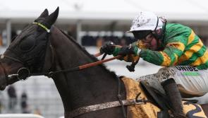 WATCH: Limerick owner JP McManus celebrates popular Cheltenham New Year's Day success