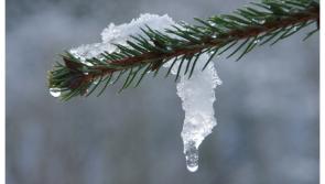 The big thaw is finally here as Met &Eacute;ireann forecasts an end to cold snap this weekend