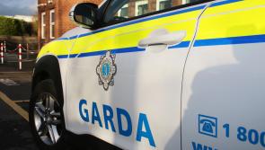 ALERT: Witnesses sought by gardai after man dies in late-night road crash