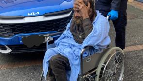 'Simply has to stop' - Man who crashed into St Patrick's Day parade 'blamed his dog'