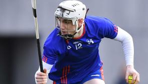 Mary Immaculate College come up short in Fitzgibbon Cup quarter-final against DCU
