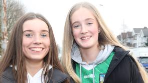 PICTURES: Supporters cheer Limerick to victory in Allianz Hurling League clash with Tipperary