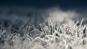 What we know about the next cold sweep ahead of St Patrick's Day weekend