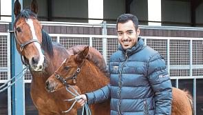 PICTURES: Qatar Racing put multi-million euro Limerick stud farm up for auction