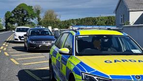 'Confiscate the car!' Gardai catch driver using their phone and also tested for cocaine